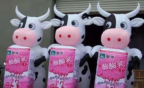 洋县牛奶厂广告气模